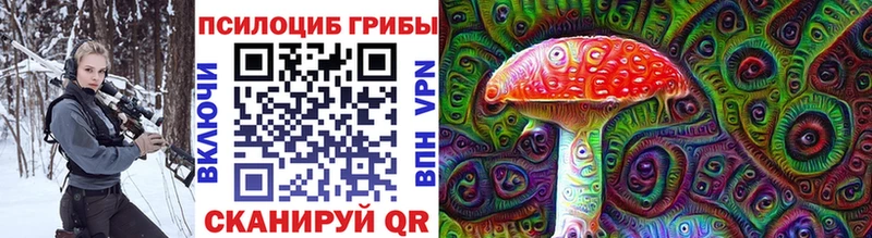 Галлюциногенные грибы Psilocybine cubensis  Ахтубинск 