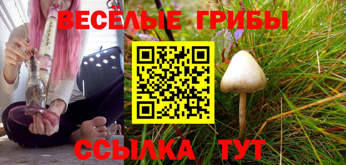 Ахтубинск  Псилоцибиновые грибы мухоморы  Вход с VPN 